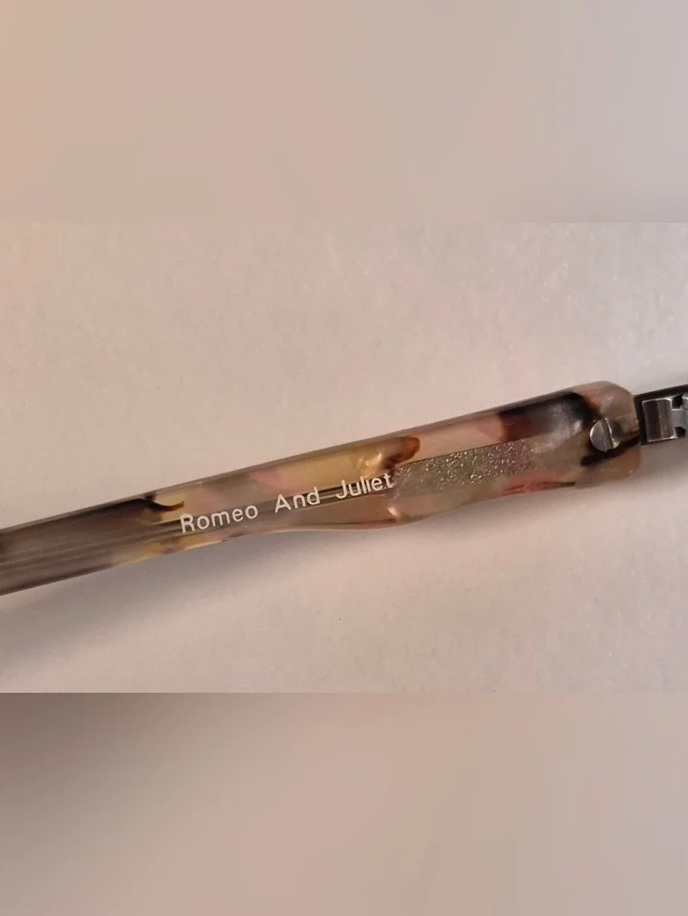 Brighton gorgeous tortoise